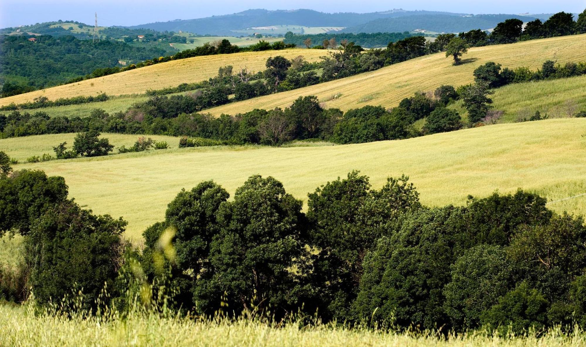 Saturnia Tuscany Country House Εξωτερικό φωτογραφία