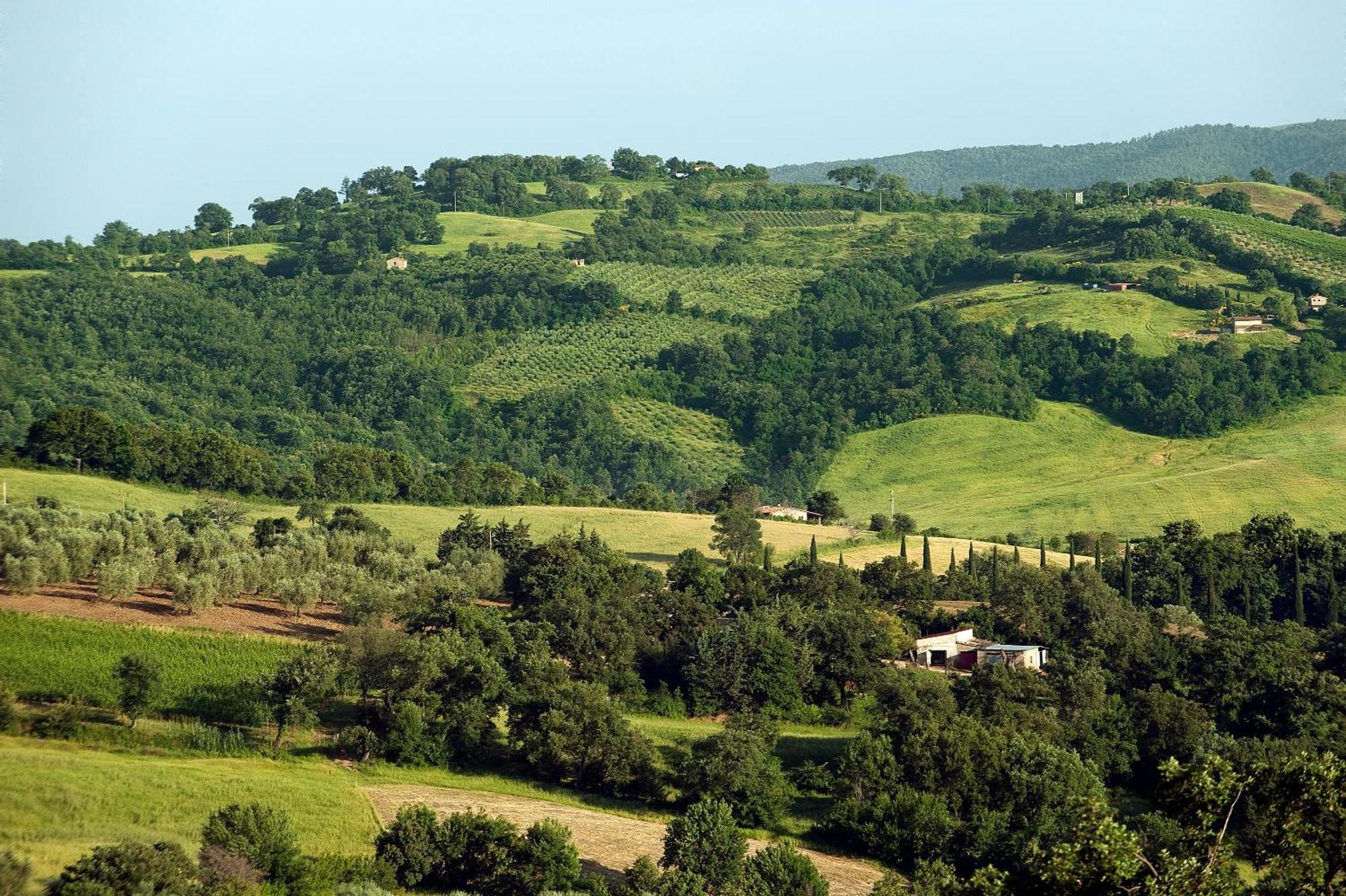 Saturnia Tuscany Country House Εξωτερικό φωτογραφία